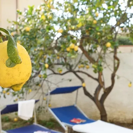 Bono Vacanze Casa Bono *
