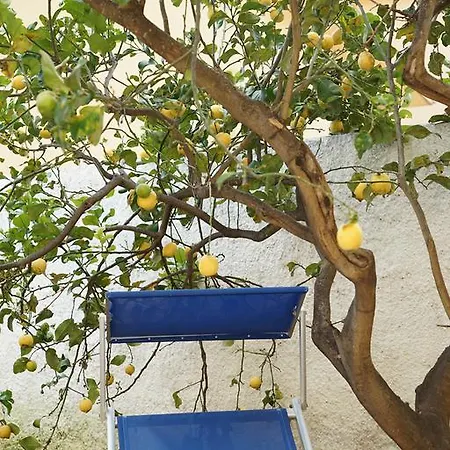 Bono Vacanze Casa Bono Holiday home