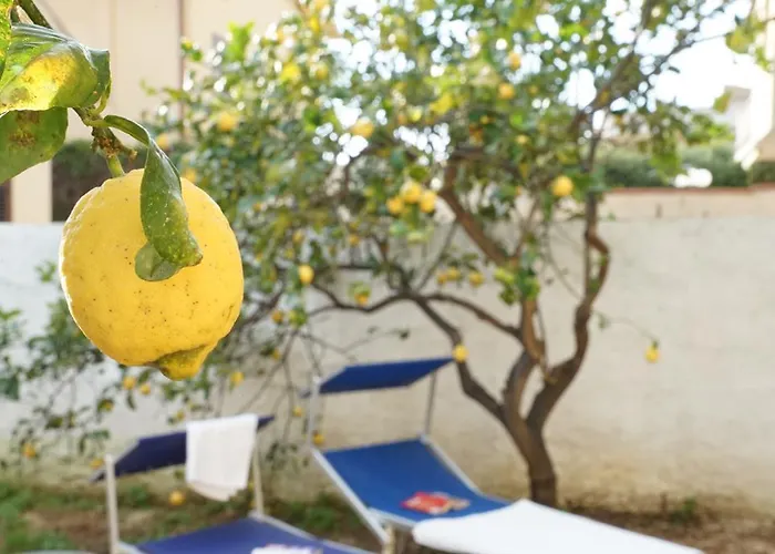 Bono Vacanze Casa Bono *